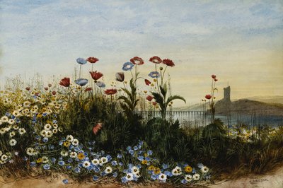 Ferry Carrig Castle, Co. Wexford, durch eine Blumenbank gesehen von Andrew Nicholl