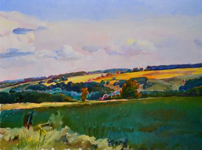 Landschaft mit sanft geschwungenen Feldern von Andrii Kutsachenko