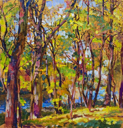 Lebendiger Herbstwald Bach von Andrii Kutsachenko