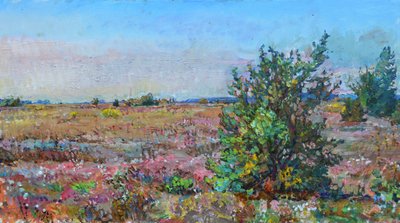 Lebendige Heidelandschaft von Andrii Kutsachenko