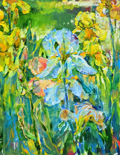 Lebendiger Irisgarten von Andrii Kutsachenko
