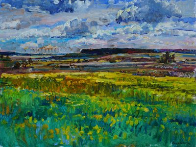 Lebendige Sommerfelder von Andrii Kutsachenko