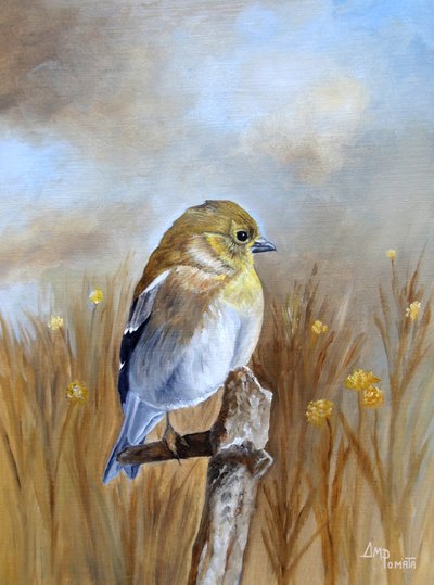 Herbstfink auf Ast von Angeles M. Pomata