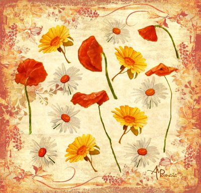 Fröhliche Mohnblumen und Gänseblümchen von Angeles M. Pomata