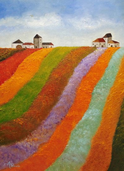 Bunte Dorffelder von Angeles M. Pomata