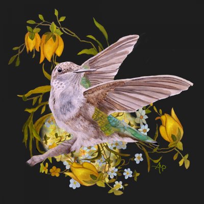Eleganter Kolibri mit Blumen von Angeles M. Pomata