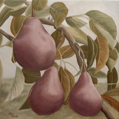 Lila Birnen auf Ast von Angeles M. Pomata