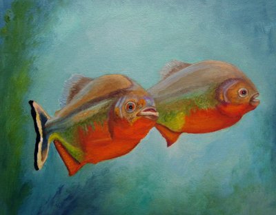 Rotbauchiger Fisch von Angeles M. Pomata