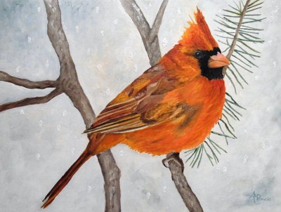 Schneebedeckter roter Kardinal von Angeles M. Pomata