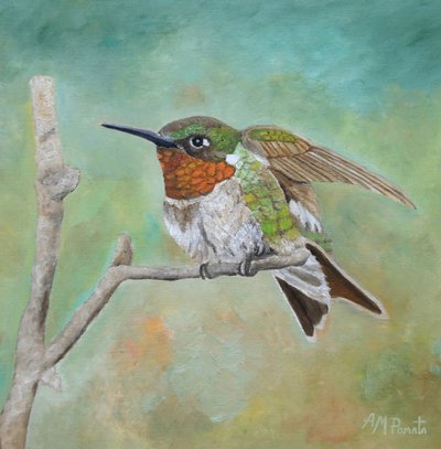 Leuchtender Kolibri auf Ast von Angeles M. Pomata
