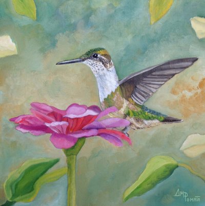 Leuchtender Kolibri und Zinnie von Angeles M. Pomata