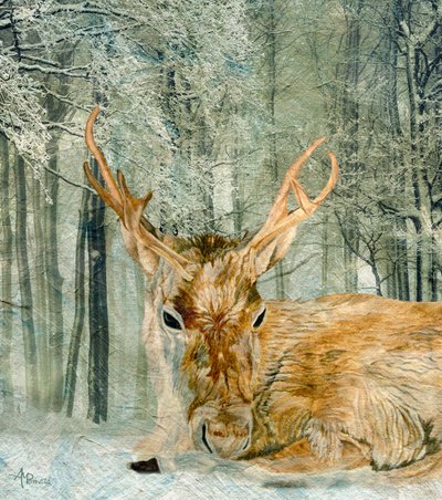 Winterwald-Hirsch von Angeles M. Pomata