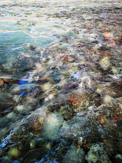 Lebendiger Flussfluss von Angelo Cerantola