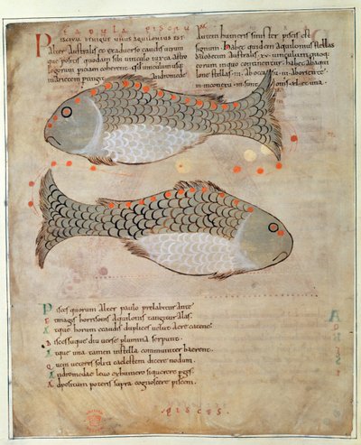 Die Konstellation Fische aus 