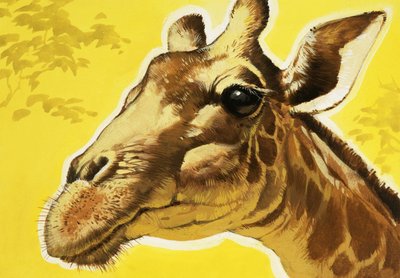 Kopf einer Giraffe von Angus McBride