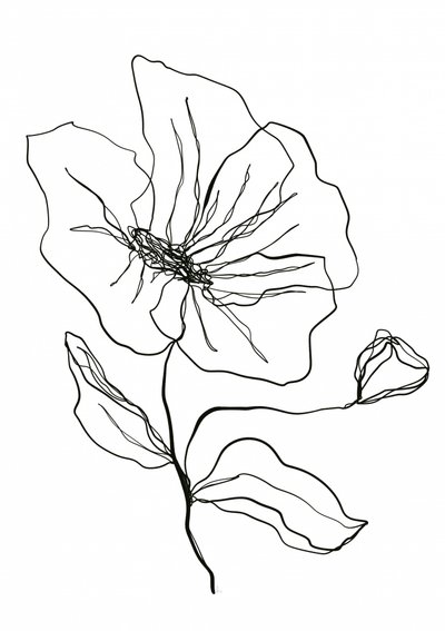 Zarte Blumenskizze von Ankie Kooi
