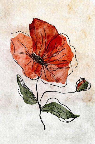Roter Aquarellmohn von Ankie Kooi