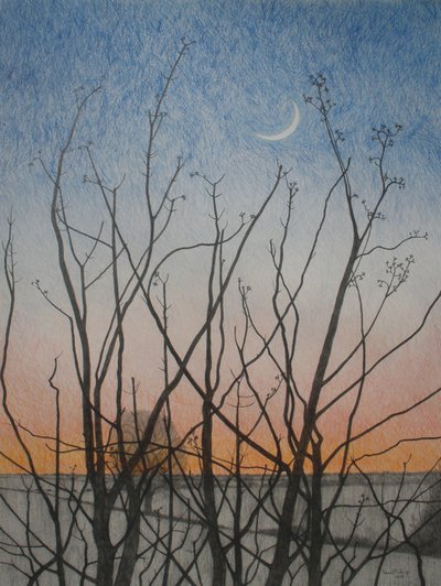 Von meinem Fenster, 2011 von Anna Phillips