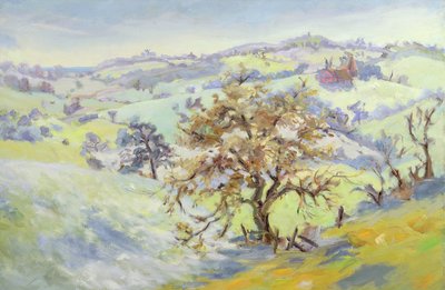 Von Udimore nach Peasmarch, Sussex, im Winter von Anne Durham
