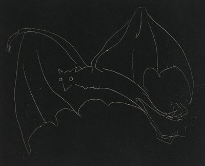 Nachtserie: Die Fledermaus von Anne Goldthwaite