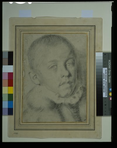 Porträtkopf eines Jungen (Schwarze Kreide und Kohle auf Papier) von Annibale (follower of) Carracci