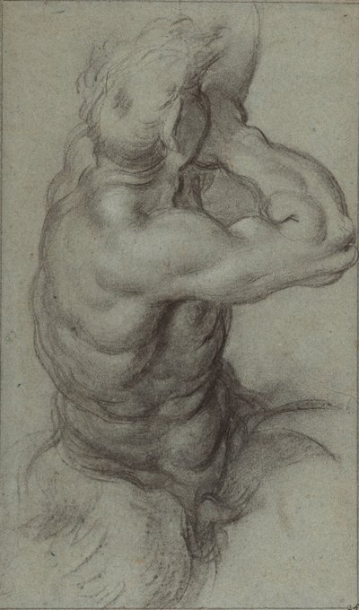 Studie eines Tritons, der in ein Tritonshorn bläst (Vorderseite); Teilstudie eines Arms (Rückseite) von Annibale Carracci