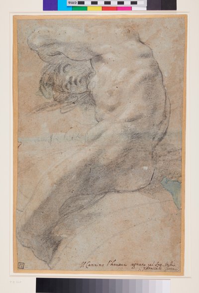 Studie eines nackten Mannes, ca. 1560-1609 von Annibale Carracci