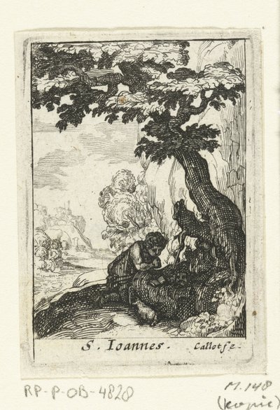 Der reuige Johannes der Täufer (S. Ioannes) (De boetvaardige heiligen) von Anonymous