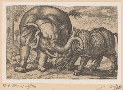 Ein Nashorn kämpft mit einem Elefanten von Anonymous
