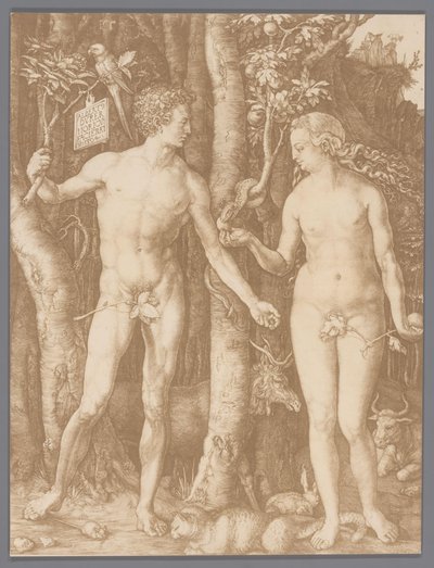 Fotoreproduktion des Kupferstichs Adam und Eva von Albrecht Dürer von Anonymous