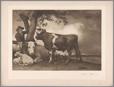 Die Stier (Paulus Potter) von Anonymous
