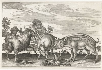 Ziege und Schweine Vierbeinige Tiere (Serientitel) Animalivm Qvaddrvpedvm (Serientitel) von Anonymous