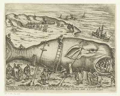 Gestrandeter Wal bei Berckhey, 1598 von Anonymous