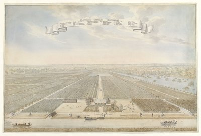 Ansicht der Plantage Cornelis Vriendschap in Suriname von Anonymous