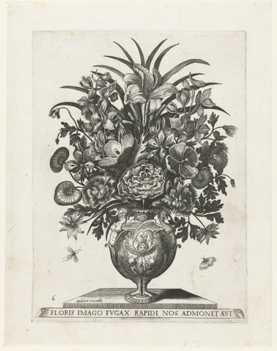 Groteske Vase mit einem Putto und Girlanden von Anonymous