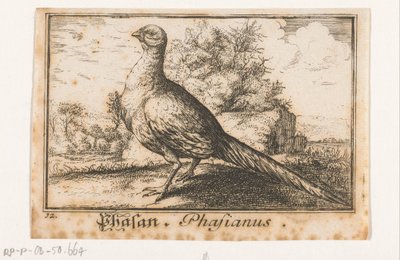Landschaft mit Fasan von Anonymous