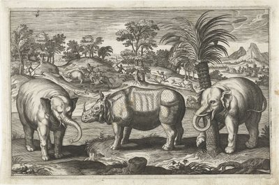 Elefanten und Nashorn von Anonymous