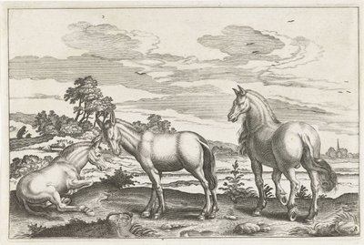 Pferd und Esel von Anonymous