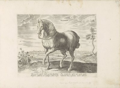 Pferd aus Geldern (Serie: Pferderassen aus den königlichen Ställen von Don Juan von Österreich) von Anonymous