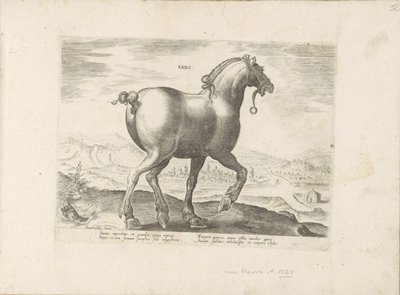 Pferd aus Sachsen (Pferderassen aus den königlichen Ställen von Don Juan von Österreich) von Anonymous