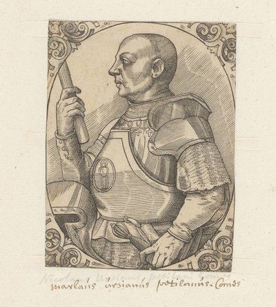 Porträt von Niccolò di Pitigliano von Anonymous