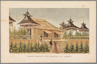 Tabakplantage der niederländischen Kolonien auf der Weltausstellung in Amsterdam, 1883 von Anonymous