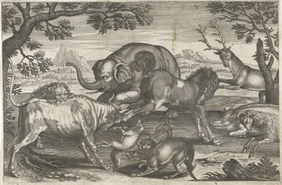 Kämpfende Tiere von Anonymous