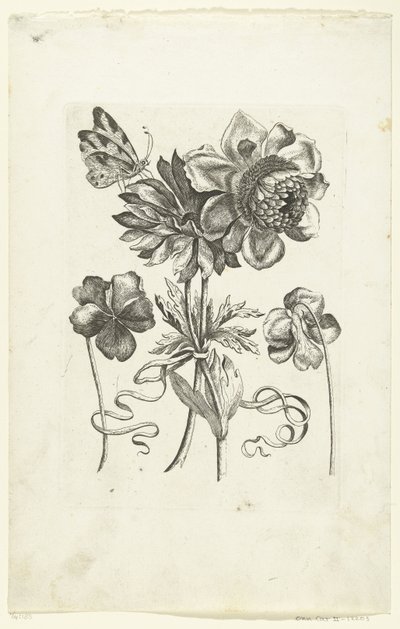 Vier Blumen, darunter zwei Stiefmütterchen von Anonymous