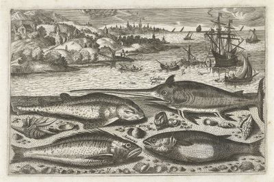 Vier Fische am Strand (Serie: Fische, Piscivm vivae icones) von Anonymous