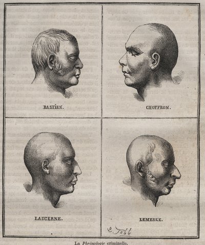Kriminelle Phrenologie im Brest Bagne (Porträts, die die physiognomischen Merkmale verschiedener Krimineller darstellen). Gravur in „Histoire des bagnes depuis leur création à nos jours“ (1877) von Pierre Zaccone. von Anonymous Anonymous