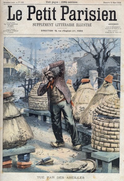 Tod eines Imkers, der von Bienen angegriffen wurde, während er Honig aus den Bienenstöcken in Quincey bei Nuits Saint Georges (Nuits-Saint-Georges) in Côte d