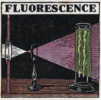 Fluoreszenz: Nachweis der Fluoreszenz von Körpern. Anonyme Illustration von 1925. Private Sammlung. von Anonymous Anonymous