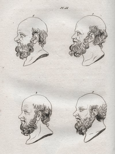 Physiognomie - Mehrere Köpfe des griechischen Philosophen Sokrates von Anonymous Anonymous