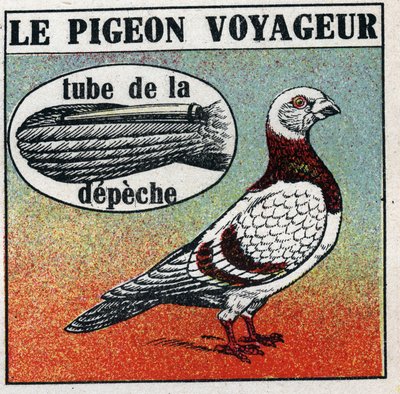 Die Post: Die Reisetaube. Anonyme Illustration von 1925. Private Sammlung. von Anonymous Anonymous
